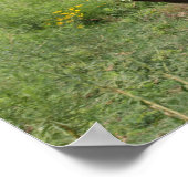 Poster Bob Langrish | Quart Horse Foal Running (Coin)