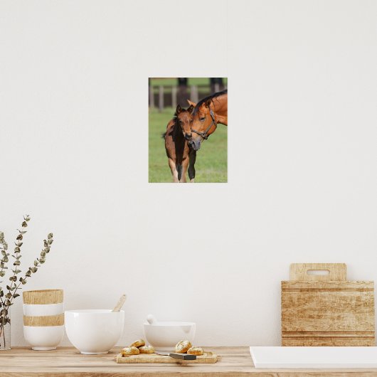 Poster Bob Langrish Quarter Cheval Mare et Foal Cuddin (Cuisine)