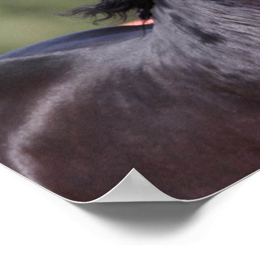 Poster Bob Langrish | Retour Casque andalou (Coin)