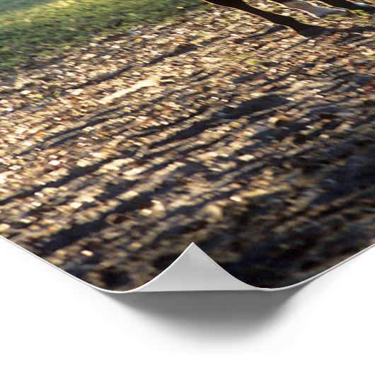 Poster Bob Langrish | Rétroéclairage du sang chaud (Coin)