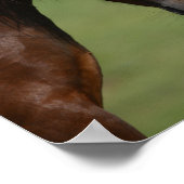 Poster Bob Langrish | Réunion des Poney de Bay et Grey We (Coin)