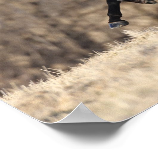 Poster Bob Langrish | Running Andalucian (Coin)