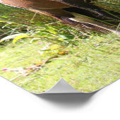 Poster Bob Langrish | Shetland Pony Debout De Fleurs (Coin)