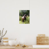 Poster Bob Langrish | Shetland Pony Debout De Fleurs (Cuisine)