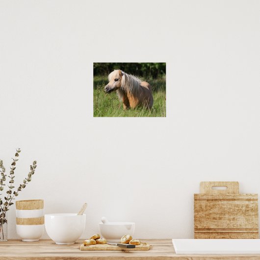 Poster Bob Langrish Shetland Pony debout en herbe longue (Cuisine)