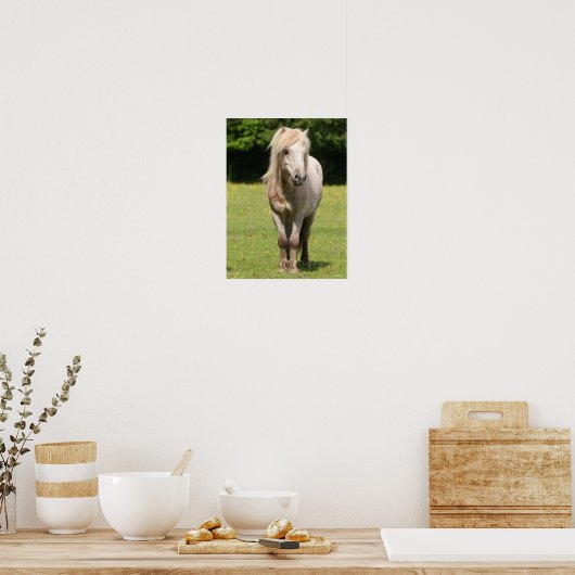 Poster Bob Langrish | Shetland Pony Standing (Cuisine)