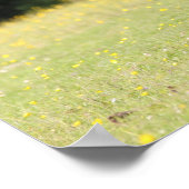 Poster Bob Langrish | Stallion de poney de châtaignes (Coin)