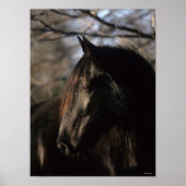 Poster Bob Langrish | Tennessee Walker noir (Devant)