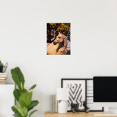 Poster Bob Langrish | Tête de tête d'étoile arabe grise 4 (Bureau à domicile)