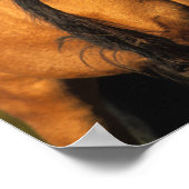 Poster Bob Langrish | Tête de tête du ponton de Chocktaw (Coin)