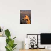 Poster Bob Langrish | Tirage arabe gris soir léger (Bureau à domicile)