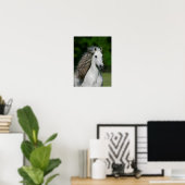 Poster Bob Langrish | Tirage d'un stallion andalou gris (Bureau à domicile)