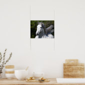 Poster Bob Langrish | Tirage d'un stallion andalou gris (Cuisine)