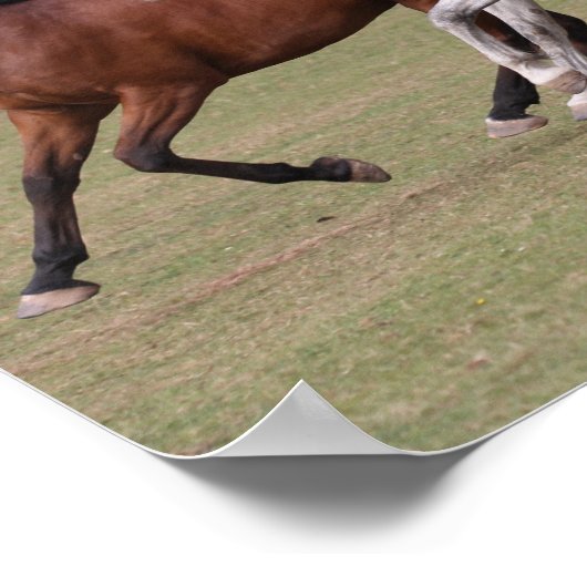 Poster Bob Langrish | Trois Chevaux Arabes Courant Ensemb (Coin)