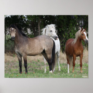 Poster Bob Langrish Trois Ponts Se Regroupent