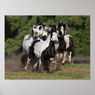 Poster Bob Langrish Troupeau De Chevaux De Vannières T