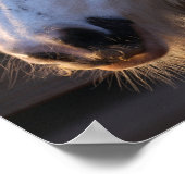 Poster Bob Langrish | Vannière tzigane surplombant la clô (Coin)