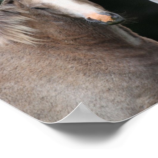 Poster Bob Langrish | Welsh Pony Mare et Foie (Coin)