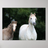 Poster Bob Langrish | Welsh Pony Mare et Foie (Devant)