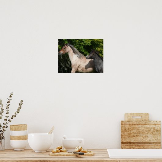 Poster Bob Langrish | Welsh Pony Mare et Foie Headshot (Cuisine)