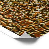 Poster Bob le Sérieux (Coin)