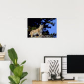 Poster Bobcat (Bureau à domicile)