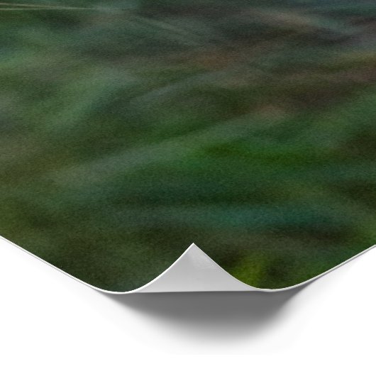 Poster BobCat (Coin)