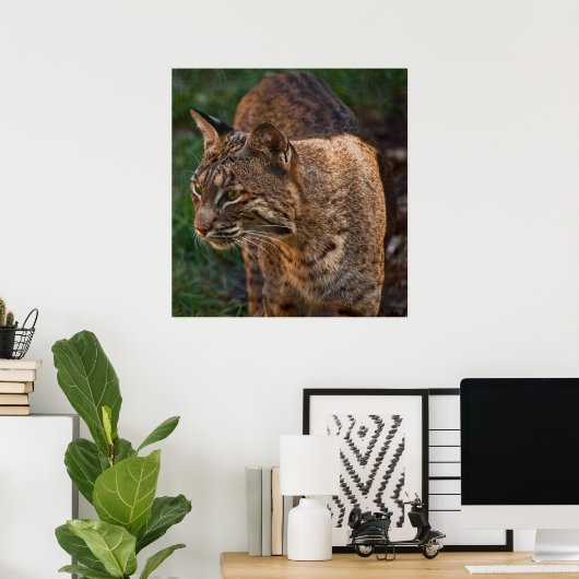 Poster BobCat (Bureau à domicile)