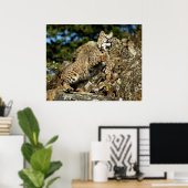 Poster Bobcat - Prêt à rebondir (Bureau à domicile)