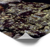 Poster Bobcat surligné (Coin)