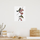 Poster Bobolink par Audubon (Cuisine)