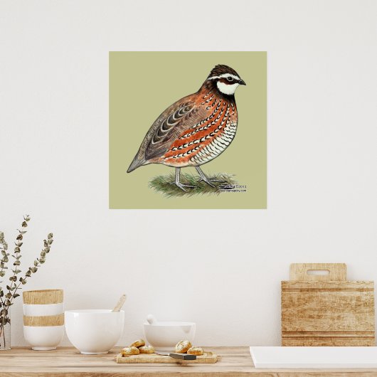 Poster Bobwhite Quail (Cuisine)
