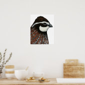 Poster Bobwhite Quail Head (Cuisine)