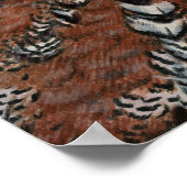 Poster Bobwhite Quail Head (Coin)