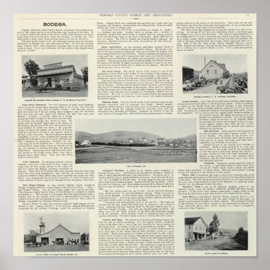 Poster Bodega, Californie (Devant)