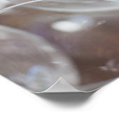 Poster Bodega Marques de Riscal, dégustation de vin (Coin)