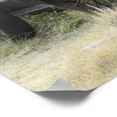 Poster Bodie State Historic Park, CA (Coin)