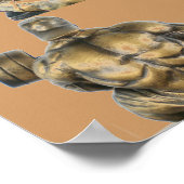 Poster Bodybuilder (Coin)