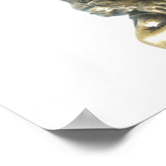 Poster Bodybuilder (Coin)