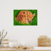 Poster Boeuf Bébé à queue blanche (Cuisine)