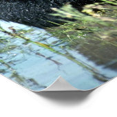 Poster Boeuf noir dans le marais d'été (Coin)