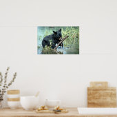 Poster Boeuf noir dans le marais d'été (Cuisine)