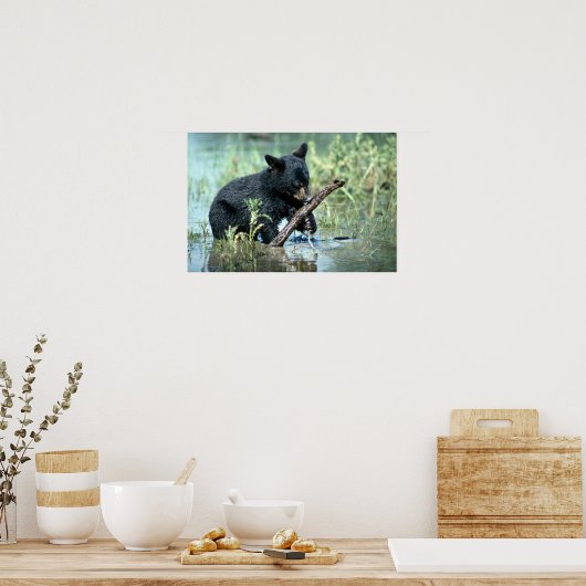 Poster Boeuf noir dans le marais d'été (Cuisine)