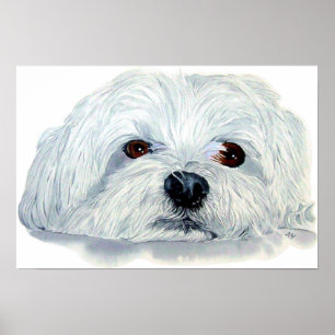 Poster Bogart the Maltese Canvas Print