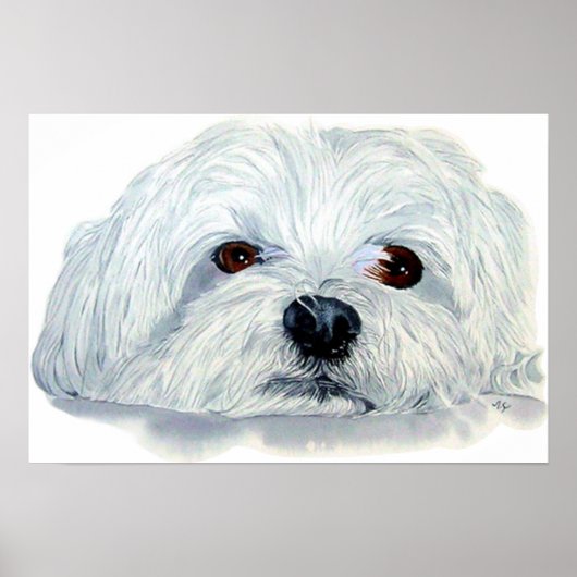 Poster Bogart the Maltese Canvas Print (Devant)