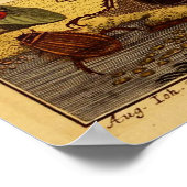 Poster Bogue 1764 (Coin)