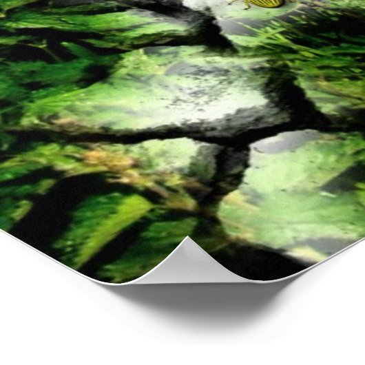 Poster Bogue - Oeil (Coin)