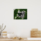 Poster Bogue - Oeil (Cuisine)