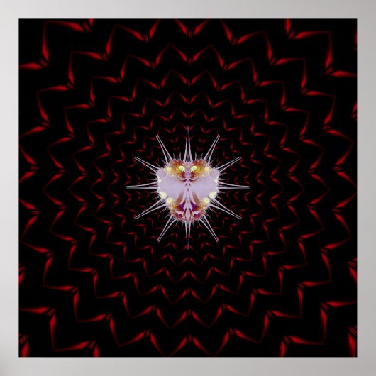 Poster Bogue VURI (Devant)