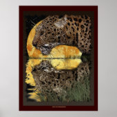 Poster BOIRE LEOPARD à l'affiche d'art SUNSET (Devant)
